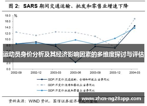 运动员身价分析及其经济影响因素的多维度探讨与评估
