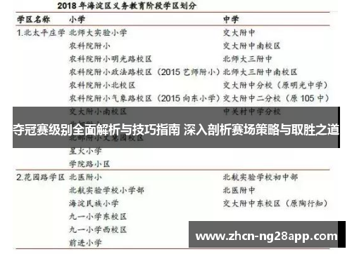 夺冠赛级别全面解析与技巧指南 深入剖析赛场策略与取胜之道