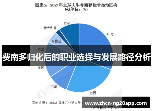 费南多归化后的职业选择与发展路径分析